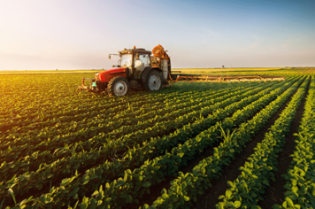 Agropecuária gera mais de 40 mil empregos nos primeiros dois meses de 2022